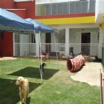 Creche (day Care)