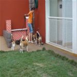 Creche (day Care)