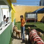Creche (day Care)