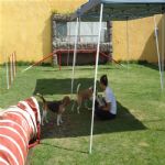 Creche (day Care)