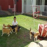 Creche (day Care)