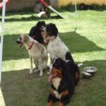 Creche (day Care)