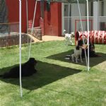 Creche (day Care)