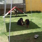 Creche (day Care)