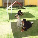 Creche (day Care)