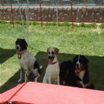 Creche (day Care)
