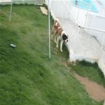 Creche (day Care)