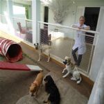 Creche (day Care)