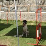 Creche (day Care)