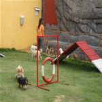 Creche (day Care)