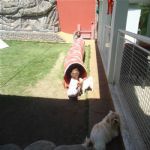Creche (day Care)