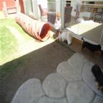 Creche (day Care)