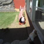 Creche (day Care)