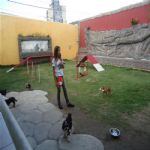 Creche (day Care)
