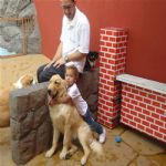 Creche (day Care)