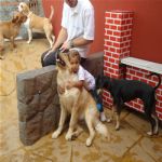 Creche (day Care)