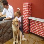 Creche (day Care)