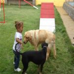 Creche (day Care)