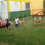 Creche (day Care)