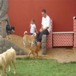 Creche (day Care)