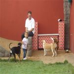 Creche (day Care)