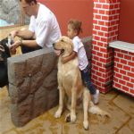 Creche (day Care)