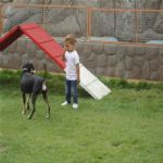 Creche (day Care)