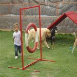 Creche (day Care)