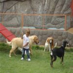 Creche (day Care)