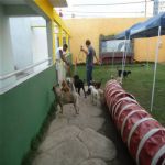 Creche (day Care)