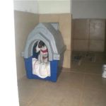Hotel Para Cães