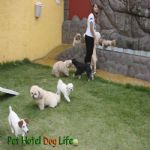 Creche (day Care)