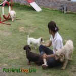 Creche (day Care)