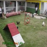 Creche (day Care)