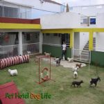 Creche (day Care)