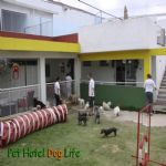 Creche (day Care)