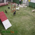 Creche (day Care)