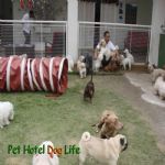 Creche (day Care)