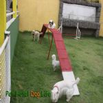 Creche (day Care)