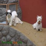 Creche (day Care)
