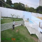 Creche (day Care)