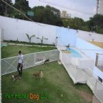 Creche (day Care)
