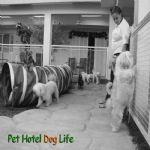 Creche (day Care)
