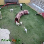 Creche (day Care)