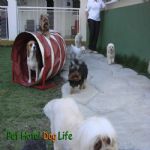 Creche (day Care)