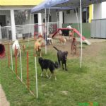 Creche (day Care)