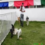 Creche (day Care)
