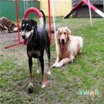 Creche (day Care)