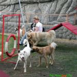 Creche (day Care)