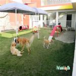 Creche (day Care)